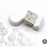 فلش گمشده