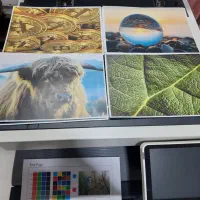 خریدوفروش و تعمیرات و جنرال سرویس کونیکا مینولتا|ماشینآلات صنعتی|اندیشه, اندیشه فاز ۱|دیوار