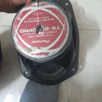 باند پایونر|صوتی و تصویری|مشهد, هفت تیر (نه دره)|دیوار