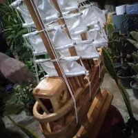 فروش انواع نهال گلهای آپارتمانی و گلدان|گل و گیاه طبیعی|شیراز, محراب|دیوار