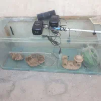 آکواریون|لوازم جانبی حیوانات|شهرضا, |دیوار