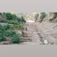 فروش زمین کشاورزی جاده جدید سنندج مریوان