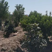 باغچه ۸۶۰متری دهشاد/شهریار /باغستان