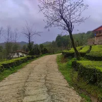 اجاره کلبه جنگلی تو کوهپایه تو قلعه رودخان|اجارهٔ کوتاه‌مدت ویلا و باغ|رشت, استادسرا|دیوار