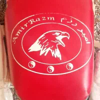 هوگو و ضربه گیر