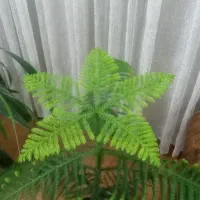 گل و گیاه|گل و گیاه طبیعی|نیشابور, خط کاشمر|دیوار