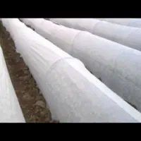 کاور ضد سرما