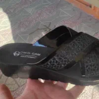 انواع دمپایی ۲۰۰|کیف، کفش، کمربند|دهدشت, |دیوار