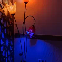 شب نما طرح گل بسیار زیبا