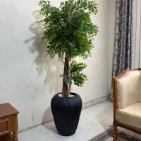 درختچه مصنوعی|گل مصنوعی|تهران, بهمن یار|دیوار