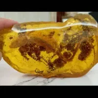 کارشناسی خریدارسنگ یاقوت الماس شهاب سنگ درمان|جواهرات|تهران, اقدسیه|دیوار