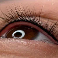 فیبروز میکرو شیدلب بن مژه|خدمات آرایشگری و زیبایی|محمدشهر, محمدشهر|دیوار