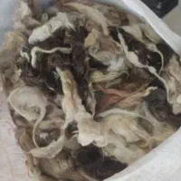پشم گوسفند
