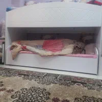 تخت دو طبقه کودک نوجوان در حد با دو تشک