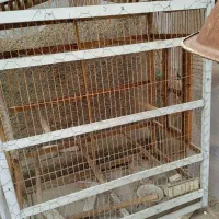 قفس بزرگ چوبی