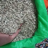 لوبیاچیتی یا ارتشی