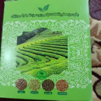 چای سبز بخورید