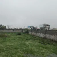 بام سبز 300 متر سند تک برگ