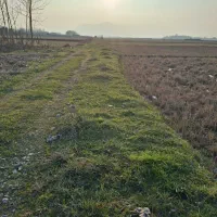 3500متر-شالیزار-بهزراعی-شده-گورابزرمیخ