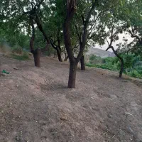فروش زمین مسکونی