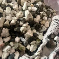 لوازم اکواریوم|ماهی|کاشمر, |دیوار