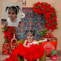 آلبوم عکس|تابلو، نقاشی، عکس|امیدیه, |دیوار