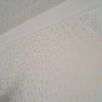 نقاشی ساختمان|خدمات پیشه و مهارت|الیگودرز, |دیوار