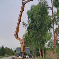 بالابر جرثقیل سبد دار لجور|خدمات حمل و نقل|قم, عمار یاسر|دیوار