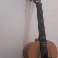 گیتار نو