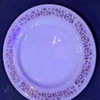 ظروف|ظروف سرو و پذیرایی|تهران, امام حسین|دیوار