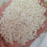 لاشه هاشمی تازه