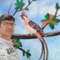 رنگ کاری کناف و تمامی موارد ساختمانی|خدمات پیشه و مهارت|گوگان, |دیوار