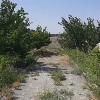 باغ-باغچه-250-متری-شهرکی