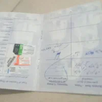 سگ ماده اشپیتز ۲ساله|سگ|وحیدیه, |دیوار