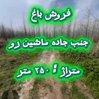 ۲۵۰متر باغ جنب جاده|فروش زمین و ملک کلنگی|آستانه اشرفیه, |دیوار