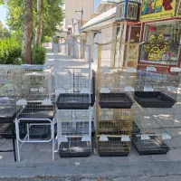 قفس، عروس‌هلندی، پت‌شاپ