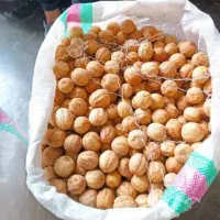 فروش  لیمو خشک صادراتی جهرم