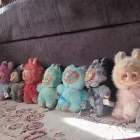 تماس بگیرید