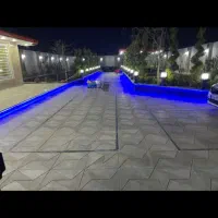 همکار خانم