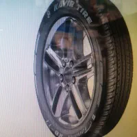 ثبت نام لاستیک دولتی