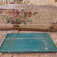 قفس پرنده طوطی سایز بزرگ نو|لوازم جانبی حیوانات|تهران, هفده شهریور|دیوار