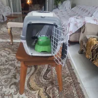باکس سگ و گربه|لوازم جانبی حیوانات|اصفهان, جلفا|دیوار