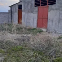 گاوداری-برا-اجاره
