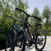 دوچرخه ویوا ۲۷.۵ و ۲۶