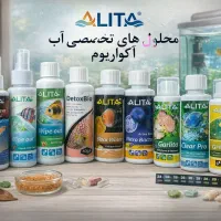 تخفیفات ویژه شب یلدا ماهی و لوازم