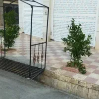 مغازه