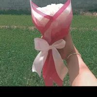 گل ربانی|گل مصنوعی|کرمان, |دیوار