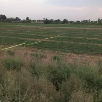 زمین‌ کشاورزی باغی قابل ساخت