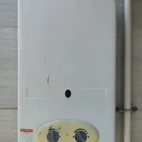آبگرمکن گازی دیواری