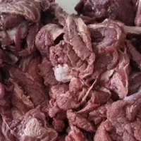گوشت تازه درجه یک